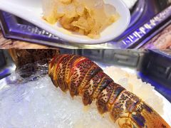 泰国琵琶虾-东记炭炉·海鲜鸡煲(龙华店)