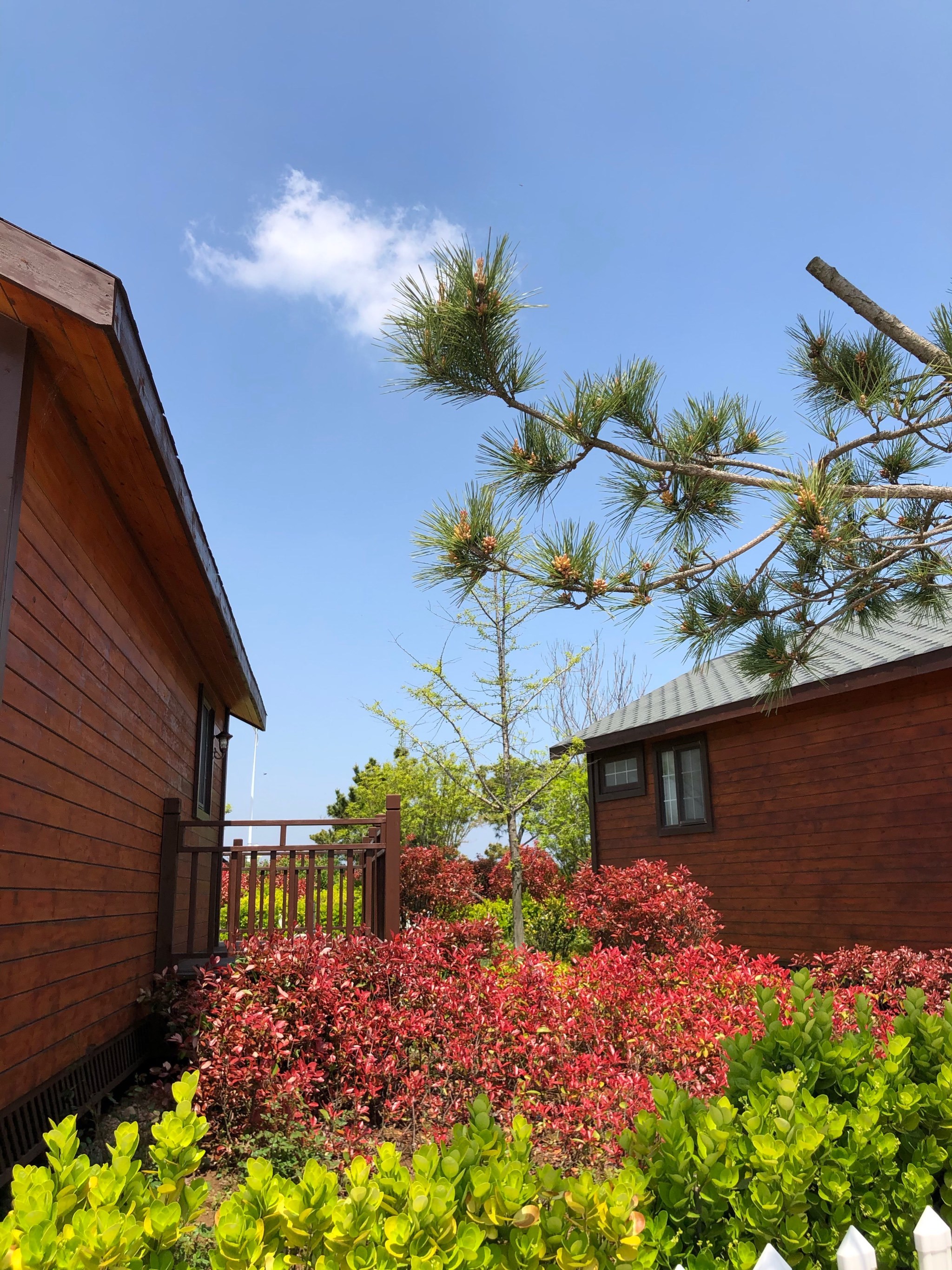 这里应该是荣成市俚岛镇最美的地方了,几乎