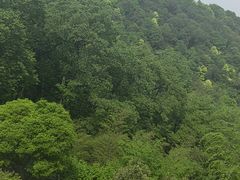 -韬光茶庵