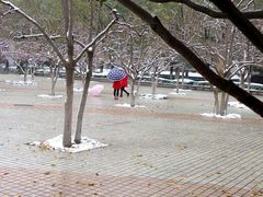 -山东农业大学(岱宗校区)