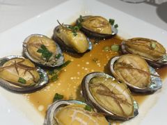 清蒸大连鲜鲍鱼-東海海鲜酒家(中信广场店)