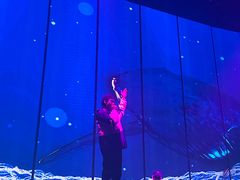 -CLUB OPUS欧贝斯酒吧(合肥店)