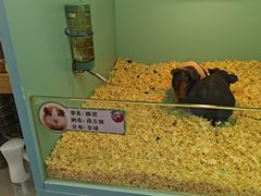 -FAIRYLAND龙族星球主题餐厅(凯丹广场店)
