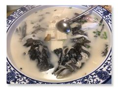 -全乐鱼馆·淳牌有机鱼直营店