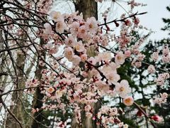 -吉林大学(南岭校区)