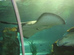 景点-秦皇岛乐岛海洋王国