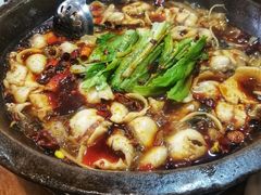 -都江堰石锅鱼