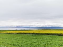 -青海湖国家重点风景名胜区