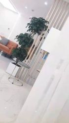 点击看大图 -睫乐园•睫公馆•美睫美甲沙龙