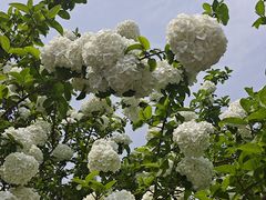 -白塘生态植物园
