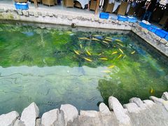 -京北渔家傲