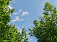 -桤木河湿地公园