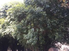 -汉水公园