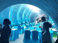 -海棠湾洲际-涛·海底餐厅·美人鱼·自助餐·海底隧道
