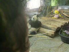 -海南热带野生动植物园