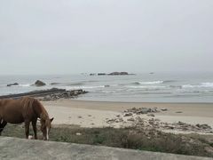 -南澳海滩