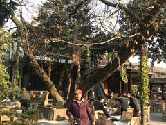 -兴福老面馆(寺路街店)