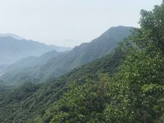-大岭沟猕猴桃谷风景区