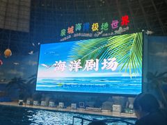 -泉城欧乐堡海洋极地世界