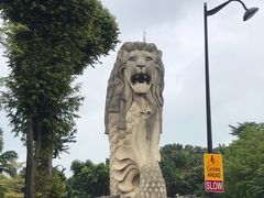 -新加坡海鲜共和(名胜世界圣淘沙海滨坊)
