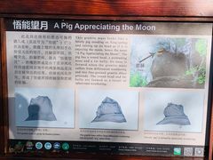 -汤旺河林海奇石景区