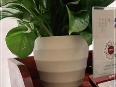 -华夏良子·足道SPA艾灸(三里屯店)