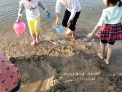 -瑶湖郊野森林公园