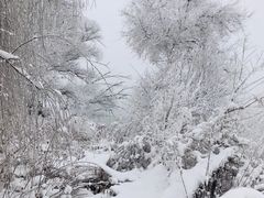 -雾凇岛