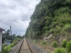 -河口景区