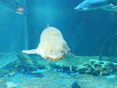 -华夏文旅海洋公园