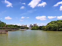 -八大山人梅湖景区