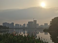 -飞来湖湿地公园