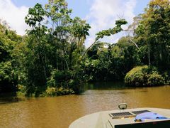 -热带雨林自然公园