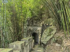 -铁山坪森林公园