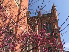 -上海佘山国家森林公园西佘山园