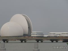 -野狸岛