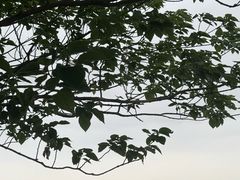 -平湖九龙山旅游度假区