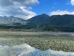 -腾冲北海湿地