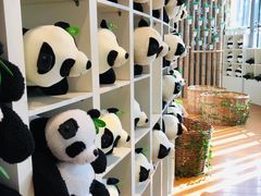 -大连森林动物园熊猫馆纪念品商店