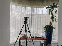 -青藤茶馆(凤起路店)