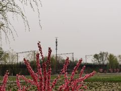 -永定河休闲森林公园