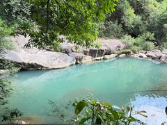 -广州白江湖森林公园