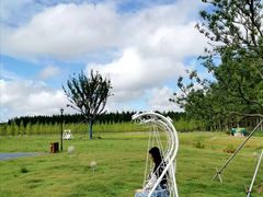 -黄海国家森林公园