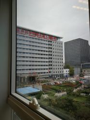 -北京新世纪儿童医院