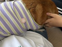 -怪兽屋·羊驼·猫咖·狗咖(俊华广场店)