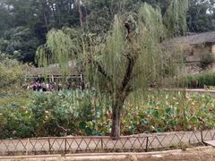 -韶山毛泽东同志故居