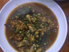 -全乐鱼馆·淳牌有机鱼直营店