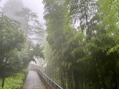 -莫干山风景区