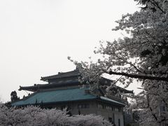 -武汉大学-樱园