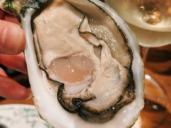 法国马恩河吉娜朵生蚝（N5）-Osteria Garden 生蚝花园餐厅(原进贤路店)